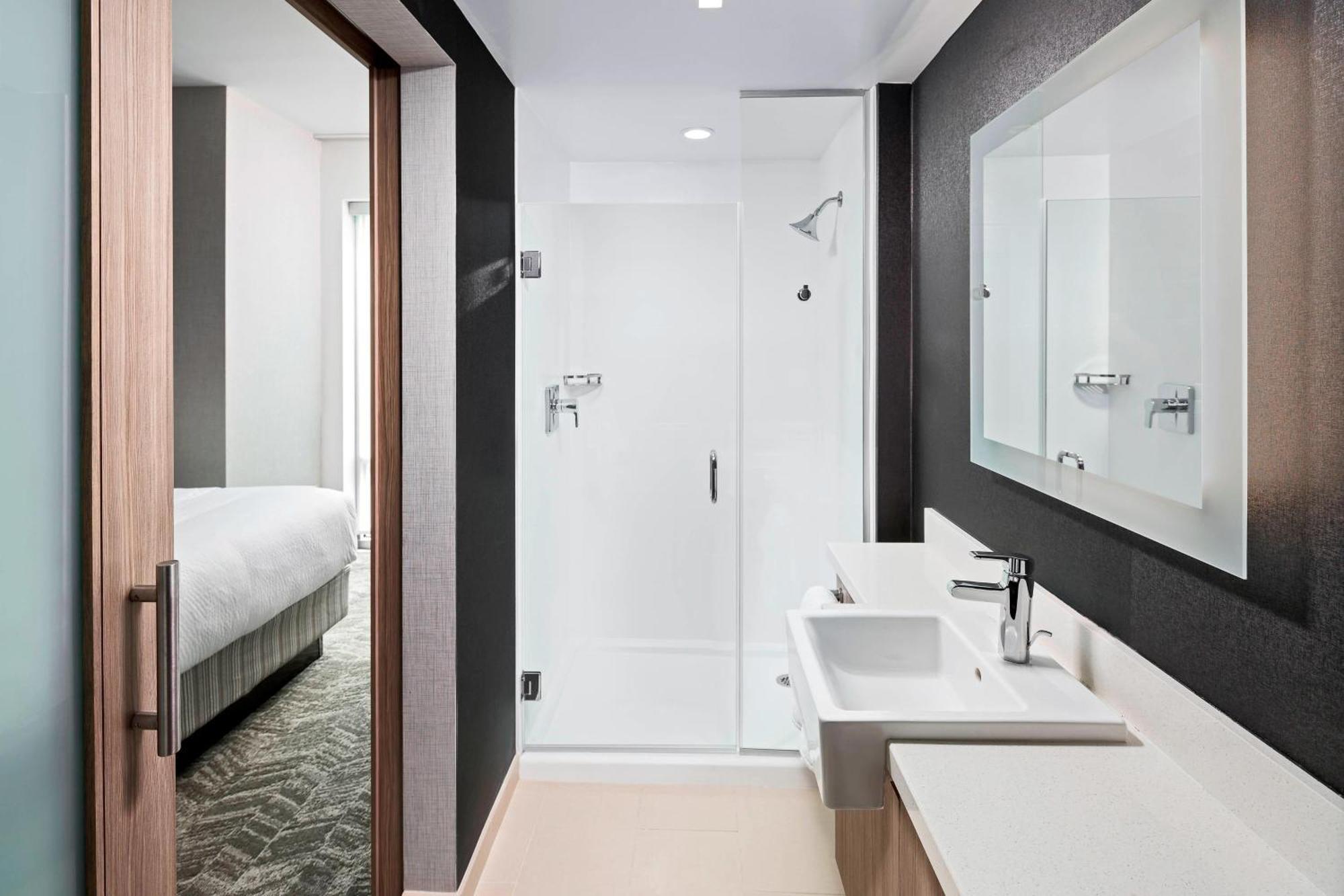Springhill Suites By Marriott Greenville Downtown Екстер'єр фото